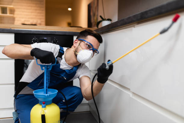 Best Cockroach Control Services  in Delhi, LA