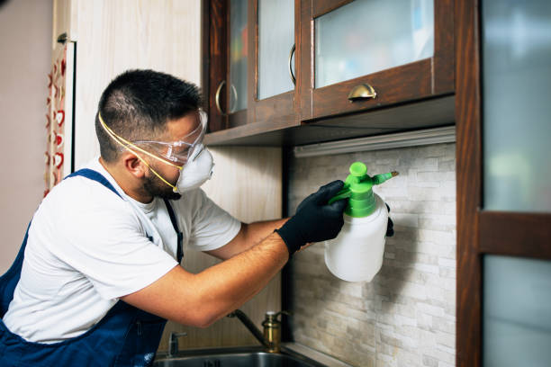 Best Affordable Pest Control Services  in Delhi, LA