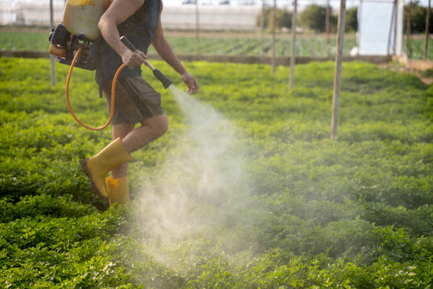 Best Best Pest Control Companies  in Delhi, LA