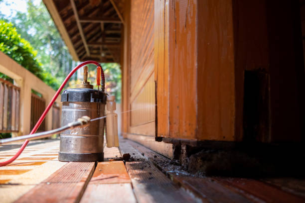 Best Pest Inspection Near Me  in Delhi, LA