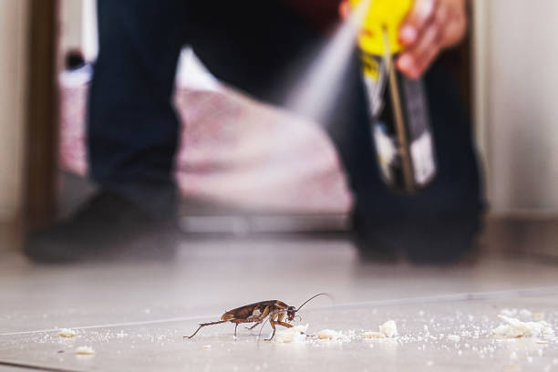 Best Mosquito Control Services  in Delhi, LA